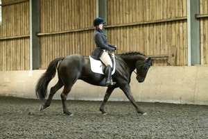 Isis Dressage Crown Farm Show 29th April 2012